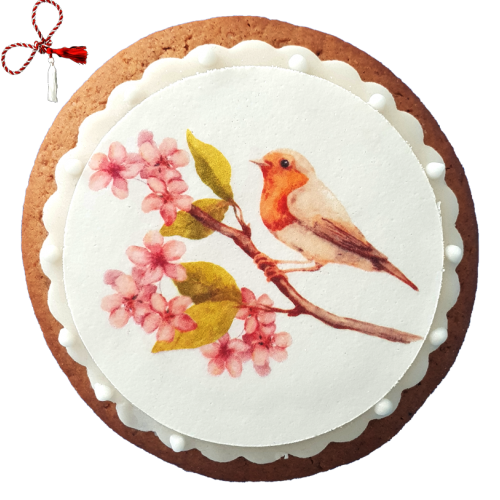 Turta dulce pasare in cires 